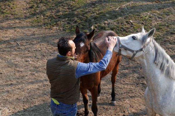 Aviolo Ranch