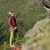Climbing